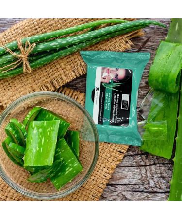 Global Beauty Care Cleansing Makeup Removal Wipes Bulk - 120 Count (4-Pack) with Aloe Vera - Travel Size Makeup Wipes - Buy Online on GoSupps.com