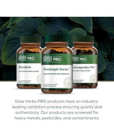 GAIA HERBS PRO Nootropic Focus - Brain Health Support Supplement* - Nootropic Supplement with Saffron Ginkgo Leaf Extract & Lemon Balm - Vegan Gluten-Free - 40 Liquid Phyto-Caps (20 Servings) - Buy Online on GoSupps.com