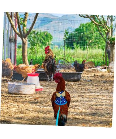 CORHAD Chicken and Duck Vest Hen Leash Chicken Lead and Harness Small Dog Harness Rooster Costume Pet Leash 17X15X0.5CM Blue - Buy Online on GoSupps.com