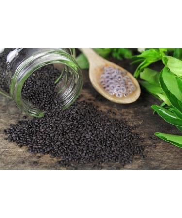 Jeske Sports Supplies Mynatura Falooda Organic basil seed basil seeds smoothie vegan herbs raw food salad dressing bag 2 x 500 g - Buy Online on GoSupps.com