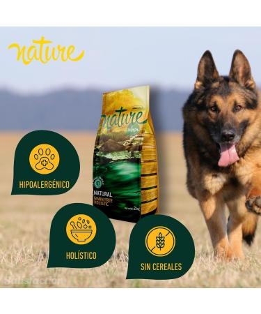 Satisfaction Nature Adult Salmon 12Kg - Buy Online on GoSupps.com