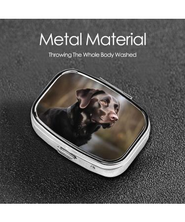 Labrador Retriever Pill Case - Cute 2 Compartment Travel Organizer for Purses | Small Pill Box Gifts - Buy Online on GoSupps.com