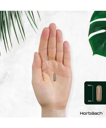 Irish Sea Moss and Bladderwrack Capsules 4000mg | 60 Capsules | Iodine Complex by Horbaach - Buy Online on GoSupps.com