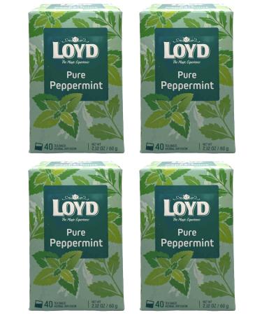 Loyd Tea 40 Teabag X4 Pure Peppermint Flavour 160 Total Herbal Infusion Tea Drink Home Office Work
