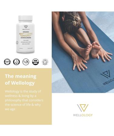 Organic Turmeric Capsules with Ashwagandha & Ginger - 1800mg High Strength Formula for Adaptogenic Support - 120 Vegan Tablets by Wellology - Buy Online on GoSupps.com