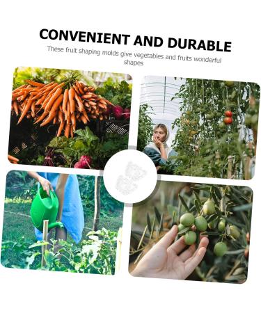 Toddmomy 6 Pcs Ingot Shaped Mold Vegetables Melon Mold Pear Vegetable Fruit Gardening Supplies - Buy Online on GoSupps.com