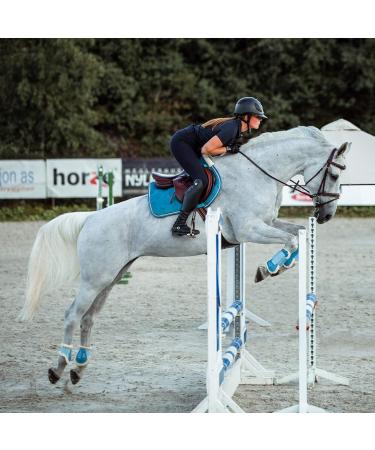 HORZE Horse Bridle Sion - English Noseband Bridle & Reins in Extra Warmblood Brown (XF) - International Shipping Available - Buy Online on GoSupps.com