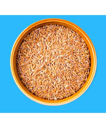 Organic Whole Grain Emmer Farro - 3 Pack | Nutrient-Rich Ancient Grain - Buy Online on GoSupps.com