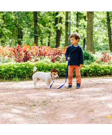 Hacraho Pet Cowboy Costume | Adjustable Dog Cowboy Hat & Blue Paisley Bandana for Small Dogs & Cats - Western Accessories & Photo Props - Buy Online on GoSupps.com