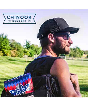 Chinook Seedery Roasted Jumbo Sunflower Seeds - Keto Snacks - Gluten Free Non GMO - 1.5oz (Pack of 36) - 6 Flavor Variety Pack - Buy Online on GoSupps.com