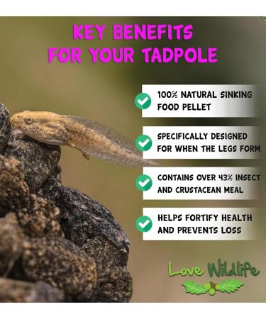 Love Wildlife Tadpole Food Twin Pack 2 x 80g Newts Frogs Toads - Buy Online on GoSupps.com