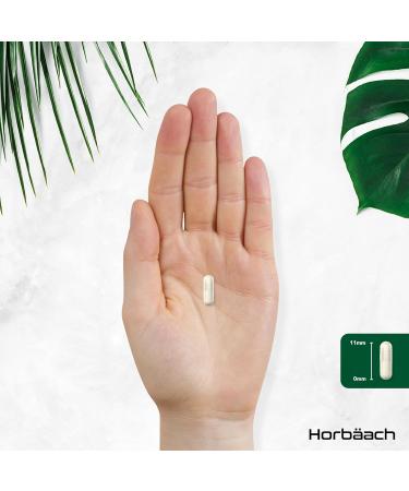 Fenugreek Capsule 2400mg | Fenugreek Seed Extract | 180 Capsules | by Horbaach - Buy Online on GoSupps.com