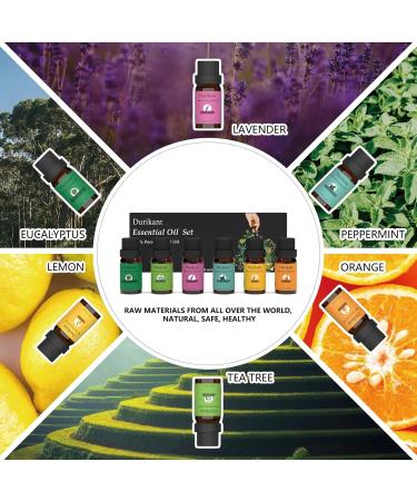 Essential Oil Set - 100% Pure Natural 6 Pack (Tea Tree Eucalyptus Lavender Orange Peppermint Lemon) - 10ml Each | Aromatherapy Essentials - Buy Online on GoSupps.com