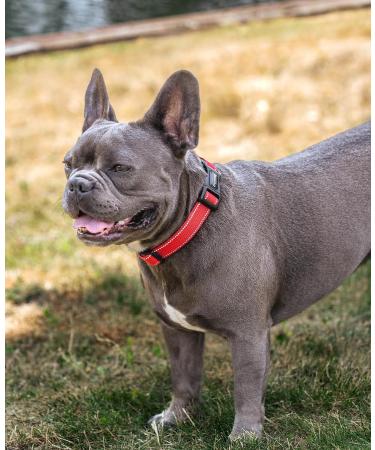 Lonto Dog Collar - Durable Nylon Soft Padded Size M Reflective Click Closure Metal Ring - Perfect for Dogs - Red - Buy Online on GoSupps.com