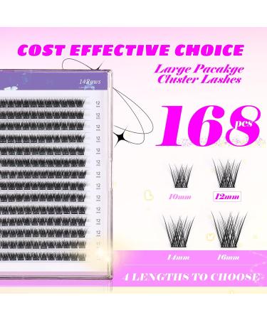 Buy GAQQI GQ03 Lash Clusters - 168PCS C Curl 12MM False Eyelashes for DIY Extensions | Natural Wispy Look - Buy Online on GoSupps.com