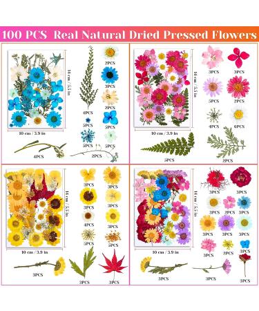 Real Dried Pressed Flowers for Resin - 150 Pcs Natural Dry Flowers & Leaves Kit for DIY Crafts - Scrapbooking, Jewelry Making, Candle & Soap Making Supplies - Buy Online on GoSupps.com