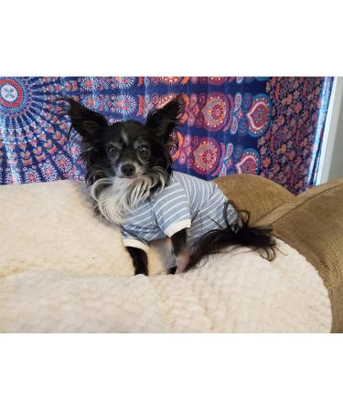 Shop Stylish Dog Shirts | Breathable & Soft Striped T-Shirts for Small to Large Dogs - Kickred XL Light Blue/White - Buy Online on GoSupps.com