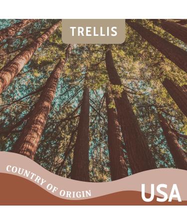 Trellis Cedarwood Essential Oil 10ml - 100% Pure Aromatherapy Oil for Home Diffusers - Natural, Vegan, Cruelty-Free - Ethically Sourced in USA, Bottled in UK - Buy Online on GoSupps.com