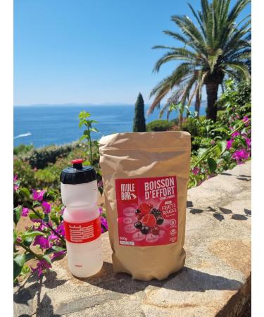 MULEBAR - Powdered Sports Drink - Red Fruits - Isotonic Drink - Antioxidant - 8 Vitamins - 4 Minerals - Easy To Digest - Made In France - 600gr - Buy Online on GoSupps.com