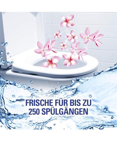 Cillit Bang 6in1 Toilet Cleaner - Blossoming Freshness Blue Water Fresh Flush Every Time - 4 Pack - Buy Online on GoSupps.com