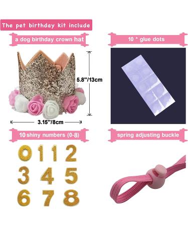 POSAPET Crown Dog Birthday Hat - Reusable Party Hat for Dogs and Cats - Gold - Buy Online on GoSupps.com