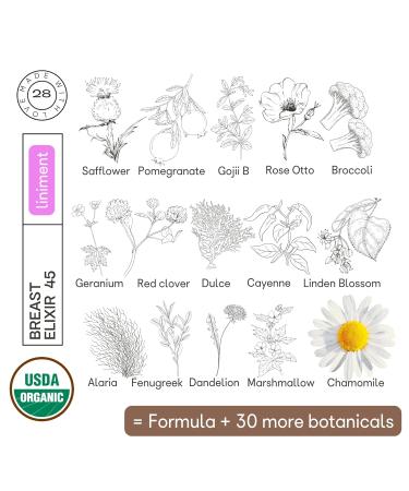Organic28. 100% Organic Breast Cream - USA Made. 45 Botanicals Breast Health. Breast Firming and Lifting Cream. All Natural Nipple Cream Post-Breastfeeding. 28 Days Infused 11 Herbs+Seaweeds 1.7 Fl.Oz - Buy Online on GoSupps.com