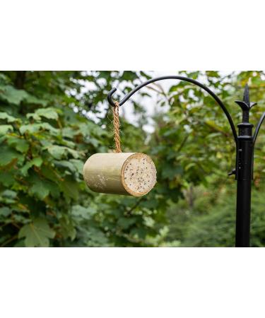 Gardman A04321 Suet Bird Food Natural 450 g (Pack of 1) - Buy Online on GoSupps.com