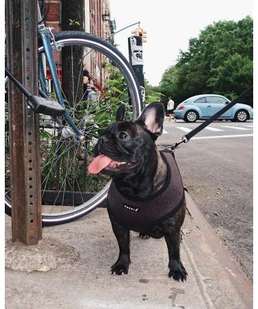 Puppia Dog Harness for Small & Medium Dogs - Super Soft Multi-Color Versatile Puppy Dish & Atani Train Harness in Brown - Buy Online on GoSupps.com