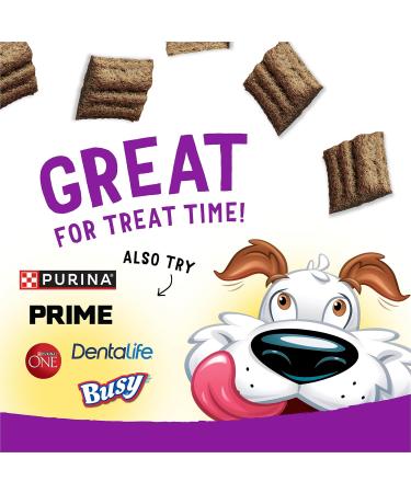 Beggin' Dog Treats Venison - 963 g Pouch (1 Pack) 963 g (Pack of 1) - Buy Online on GoSupps.com