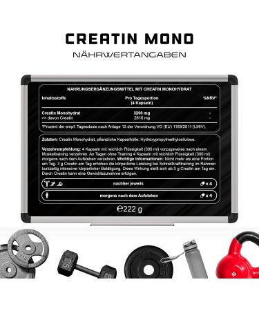 UltraFein Creatine - 240 Vegan Capsules | 3200mg High-Dose Creatine Monohydrate | Premium Quality | Laboratory Tested | Vegan-Friendly - Buy Online on GoSupps.com