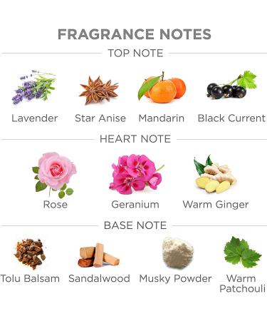 Yardley Elegance Perfumed Talcum Powder 100gm - Luxurious Scent for Everyday Elegance - Buy Online on GoSupps.com