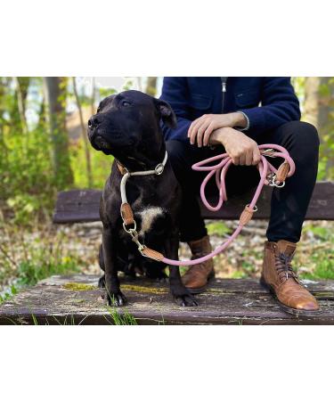Leitengr n Big Dog Leash - 3M Adjustable with 2 Carabiners | Devon Model | Rosa Palish | Lightweight & Durable - Ideal for Large Dogs - Buy Online on GoSupps.com