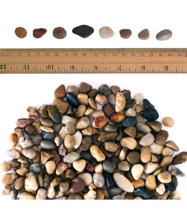 Galashield 2 lb Bag Polished River Rocks for Plants, Vases, Landscaping, Aquariums - 1-2 cm Decorative Stones - Buy Online on GoSupps.com