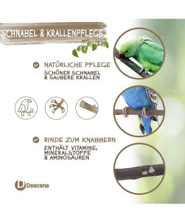 6 Natur Beckbagen for Bird Cages | Premium Accessories for Budgies | Base Bars & Wellensing Toys | Ideal for Small & Large Cages - Buy Online on GoSupps.com