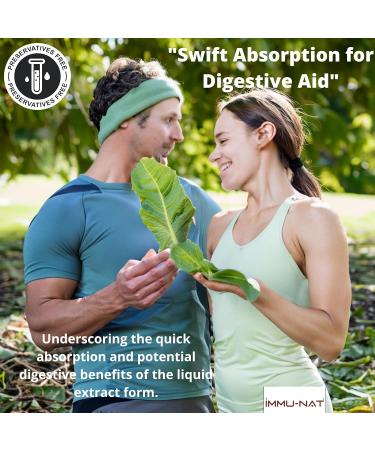 Artichoke Leaf Premium Liquid Supplement - 8.5oz | Natural Liver Support & Digestive Aid - International Shipping Available - Buy Online on GoSupps.com