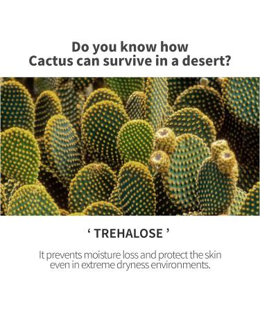  O'CLEARIEN Layered Toner Mist 5.24 fl. oz. | Trehalose for Hydrating Centella Asiatica for Soothing Anti-Aging Non-Irritating for Sensitive Skin Paraben Free Natural Extracts - Buy Online on GoSupps.com