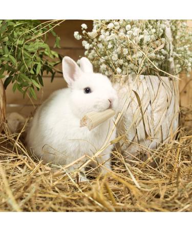 Niteangel Natural Timothy Hay Sticks Timothy Molar Rod for Rabbits Chinchillas Guinea Pigs and other small animals (soft bamboo) - Buy Online on GoSupps.com