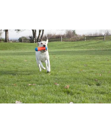 Buy Chuckit! CH184201 Tumble Bumper Medium - Best International Shipping for Pet Toys - Buy Online on GoSupps.com