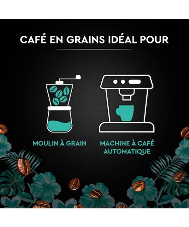 CARTE NOIRE - Coffee Bean "S lection Peru" - Organic 100% Arabica - Pack of 500g - Made in France - Buy Online on GoSupps.com