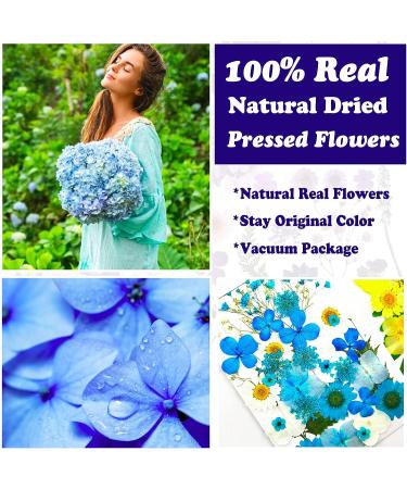 Dried Pressed Flowers Kit - 223 Pcs for Resin, Nails, Jewelry, Soap & Candle Making - Real Natural Leaves, Butterfly Stickers - LUCISKY - Buy Online on GoSupps.com