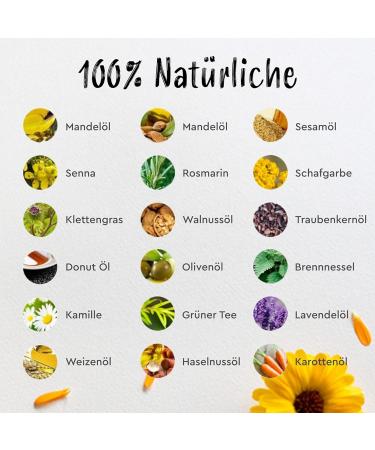 noxx HC Care Shampoo and HC Hair Rinse and Hair Care Lotion Set 340ml Shampoo + 340ml Hair Conditioner Brazilian Hair Dryer Dried Hair Brazilian Hair Dryer Dried Hair - Buy Online on GoSupps.com