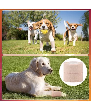 16 Rolls Elastic Adhesive Bandage Tape for Sports Injuries - Self Adherent Cohesive Wrap for Ankle, Knee, Wrist Sprains - 2 Inch x 5 Yard - Ideal for Pets - Buy Online on GoSupps.com
