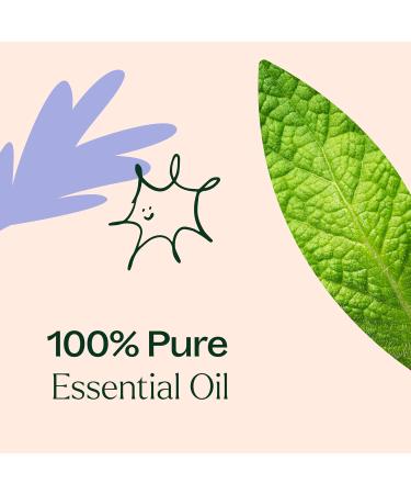 Buy Plant Therapy Respir Aid Essential Oil Blend 30 mL - 100% Pure & Natural Aromatherapy for Therapeutic Relief - Buy Online on GoSupps.com