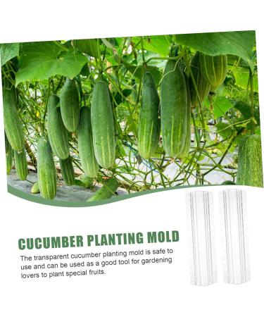 SUPVOX Horticulture 3pcs Forming Watermelon Shaper DIY Modeling Pizza Fruits Tool for Stereotypes - Buy Online on GoSupps.com