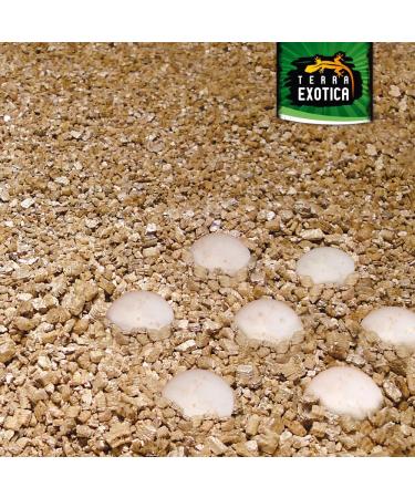 Vermiculite Fine 2-3 mm Terrarium Substrate - Ideal for Reptile Breeding & Incubation | Sterile & Germ-Free (4 Liters) - Buy Online on GoSupps.com