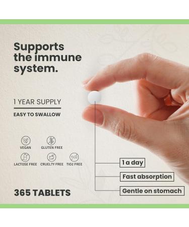 CYB Zinc 25mg High Dose Gluconate Tablets - 1 Year Supply - Vegan Daily Supplement - Buy Online on GoSupps.com