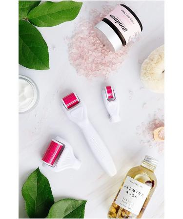 6 in 1 Titanium Derma Roller Kit for Microneedling Face and Body - 0.20, 0.25, 0.3mm Needles - Home Use Microdermabrasion Tool, Safe for Beginners - Face Roller Cosmetics - Buy Online on GoSupps.com