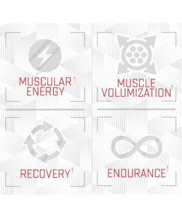 Purus Labs Foundation Series Citrulline Malate Powder | Active Amino Acid L-Citrulline | Strength Volume & Recovery | 100 Servings (Unflavored) - Buy Online on GoSupps.com