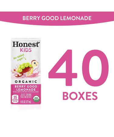 Honest Kids Berry Good Lemonade Organic Juice Drink 6 fl oz Juice Boxes - Pack of 40 - Buy Online on GoSupps.com