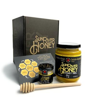 Sun River Honey Flavoured Infusions (Turmeric Ginger Box Set (500g))